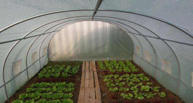 4.500.000 &sigma;&tau;&omicron; &Beta;ό&rho;&epsilon;&iota;&omicron; &Alpha;&iota;&gamma;&alpha;ί&omicron; &gamma;&iota;&alpha; &theta;&epsilon;&rho;&mu;&omicron;&kappa;ή&pi;&iota;&alpha;