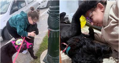 &Phi;&omega;&tau;&epsilon;&iota;&nu;ή &amp; &Nu;&tau;έ&zeta;&iota;: &Omicron;&iota; &delta;&upsilon;&omicron; &tau;&omicron;&upsilon;&sigmaf; &sigma;&tau;&eta;&nu; &kappa;&omicron;&rho;&upsilon;&phi;ή &tau;&eta;&sigmaf; &pi;&alpha;&rho;έ&lambda;&alpha;&sigma;&eta;&sigmaf; &tau;&eta;&sigmaf; 25&eta;&sigmaf; &Mu;&alpha;&rho;&tau;ί&omicron;&upsilon; | Ό&tau;&alpha;&nu; έ&nu;&alpha;&sigmaf; &sigma;&kappa;ύ&lambda;&omicron;&sigmaf; &gamma;ί&nu;&epsilon;&tau;&alpha;&iota; &laquo;&alpha;&iota;&sigma;&theta;&eta;&tau;ή&rho;&alpha;&sigmaf; &zeta;&omega;ή&sigmaf;&raquo;