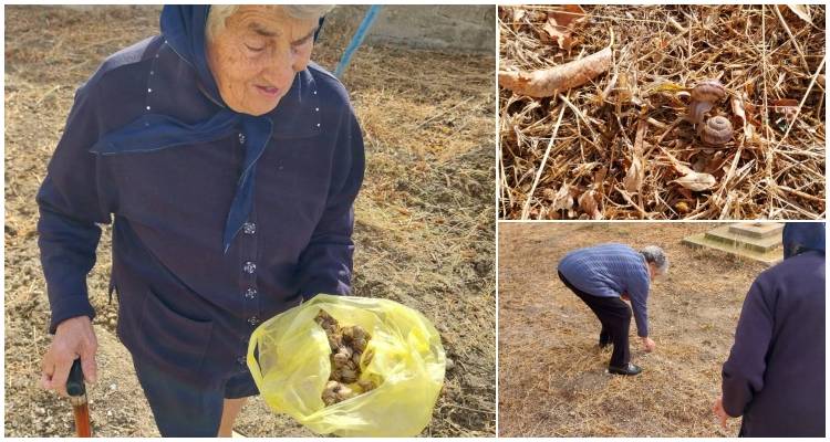 Μια βόλτα στο παρελθόν με άρωμα βροχής και φύσης στα Καμίνια