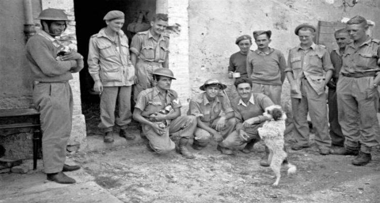 &Eta; &omicron;&mu;&omicron;&gamma;έ&nu;&epsilon;&iota;&alpha; &tau;&eta;&sigmaf; &Mu;&epsilon;&lambda;&beta;&omicron;ύ&rho;&nu;&eta;&sigmaf; &tau;&iota;&mu;ά &tau;&omicron;&upsilon;&sigmaf; &Nu;&epsilon;&omicron;&zeta;&eta;&lambda;&alpha;&nu;&delta;&omicron;ύ&sigmaf; &pi;&epsilon;&sigma;ό&nu;&tau;&epsilon;&sigmaf; &tau;&omicron;&upsilon; &Beta;' &Pi;&alpha;&gamma;&kappa;&omicron;&sigma;&mu;ί&omicron;&upsilon; &Pi;&omicron;&lambda;έ&mu;&omicron;&upsilon; &sigma;&tau;&eta; &Lambda;ή&mu;&nu;&omicron; &kappa;&alpha;&iota; ά&lambda;&lambda;&epsilon;&sigmaf; &pi;&epsilon;&rho;&iota;&omicron;&chi;έ&sigmaf; &tau;&eta;&sigmaf; &Epsilon;&lambda;&lambda;ά&delta;&alpha;&sigmaf;