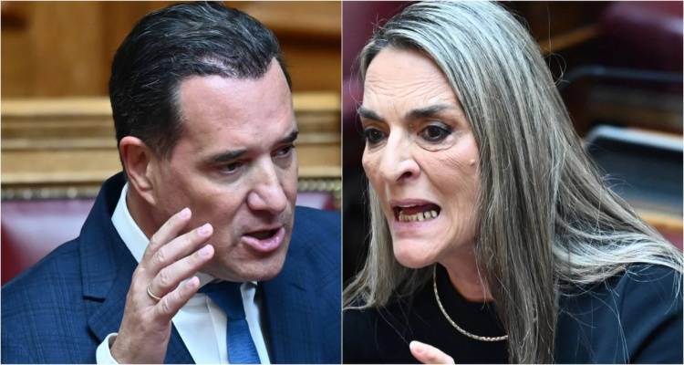 Άγρια κόντρα Γεωργιάδη - Πέρκα: Δεν σας απήγαγε κανείς, πήγατε στη Γάζα για τις σέλφι και τα βιντεάκια στο Tik Tok