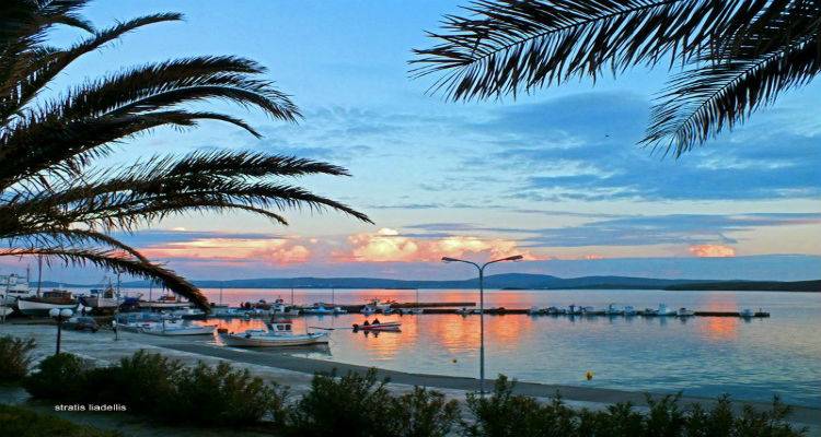 &Kappa;&omicron;&pi;ή &beta;&alpha;&sigma;&iota;&lambda;ό&pi;&iota;&tau;&alpha;&sigmaf; &gamma;&iota;&alpha; &tau;&omicron;&nu; &Pi;&omicron;&lambda;&iota;&tau;&iota;&sigma;&tau;&iota;&kappa;ό &Sigma;ύ&lambda;&lambda;&omicron;&gamma;&omicron; &Nu;έ&alpha;&sigmaf; &Kappa;&omicron;ύ&tau;&alpha;&lambda;&eta;&sigmaf;