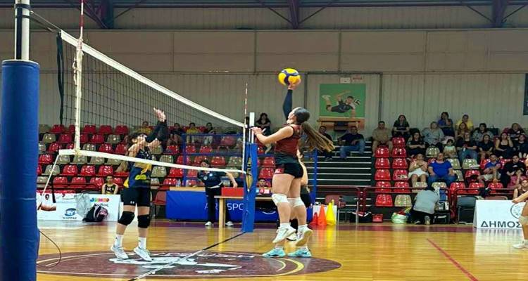 &Eta;&phi;&alpha;&iota;&sigma;&tau;&omicron;&sigmaf; &Lambda;ή&mu;&nu;&omicron;&upsilon; &ndash; &Alpha;.&Omicron;.&Mu;.: &Sigma;&eta;&mu;&alpha;&nu;&tau;&iota;&kappa;ή &alpha;&nu;&alpha;&mu;έ&tau;&rho;&eta;&sigma;&eta; &gamma;&iota;&alpha; &tau;&omicron; &Pi;&rho;&omega;&tau;ά&theta;&lambda;&eta;&mu;&alpha; &Pi;&alpha;&gamma;&kappa;&omicron;&rho;&alpha;&sigma;ί&delta;&omega;&nu;