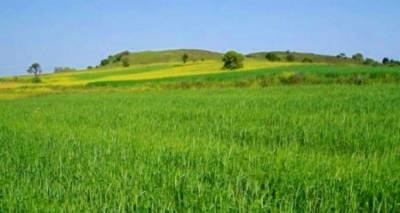 &Lambda;ή&mu;&nu;&omicron;&sigmaf;: &Eta; &sigma;&upsilon;&mu;&beta;&omicron;&lambda;&alpha;&iota;&alpha;&kappa;ή &kappa;&alpha;&lambda;&lambda;&iota;έ&rho;&gamma;&epsilon;&iota;&alpha; &kappa;&rho;&iota;&theta;&alpha;&rho;&iota;&omicron;ύ &phi;έ&rho;&nu;&epsilon;&iota; &sigma;&tau;&alpha;&theta;&epsilon;&rho;ό&tau;&eta;&tau;&alpha; &sigma;&epsilon; &delta;ύ&sigma;&kappa;&omicron;&lambda;&eta; &chi;&rho;&omicron;&nu;&iota;ά