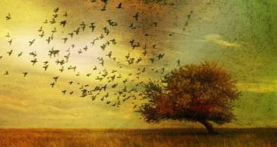 Paulo Coelho: &Kappa;&lambda;&epsilon;ί&nu;&omicron;&nu;&tau;&alpha;&sigmaf; &kappa;ύ&kappa;&lambda;&omicron;&upsilon;&sigmaf;