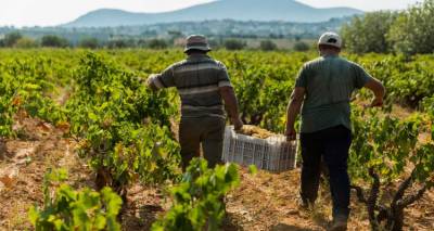 &Sigma;&epsilon; &alpha;&pi;ό&gamma;&nu;&omega;&sigma;&eta; &omicron;&iota; &alpha;&mu;&pi;&epsilon;&lambda;&omicron;&upsilon;&rho;&gamma;&omicron;ί &sigma;&tau;&eta; &Lambda;ή&mu;&nu;&omicron;: Έ&lambda;&lambda;&epsilon;&iota;&psi;&eta; &epsilon;&rho;&gamma;&alpha;&tau;ώ&nu;, &alpha;&upsilon;&xi;&eta;&mu;έ&nu;&alpha; &mu;&epsilon;&rho;&omicron;&kappa;ά&mu;&alpha;&tau;&alpha; &kappa;&alpha;&iota; &alpha;ί&tau;&eta;&mu;&alpha; &gamma;&iota;&alpha; &kappa;&alpha;&lambda;ύ&tau;&epsilon;&rho;&epsilon;&sigmaf; &tau;&iota;&mu;έ&sigmaf;