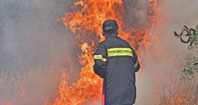 &Alpha;&nu;&epsilon;&xi;έ&lambda;&epsilon;&gamma;&kappa;&tau;&eta; &pi;&upsilon;&rho;&kappa;&alpha;&gamma;&iota;ά &sigma;&tau;&eta; &Theta;ά&sigma;&omicron; | &Epsilon;&kappa;&kappa;&epsilon;&nu;ώ&theta;&eta;&kappa;&alpha;&nu; &omicron;&iota;&kappa;&iota;&sigma;&mu;ό&sigmaf; &kappa;&alpha;&iota; &mu;&omicron;&nu;&alpha;&sigma;&tau;ή&rho;&iota;&alpha; (video)