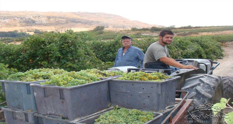 Η Περιφερειακή Ενότητα Λήμνου εφιστά την προσοχή στους οδηγούς | «Ολισθηρότητα στους δρόμους»