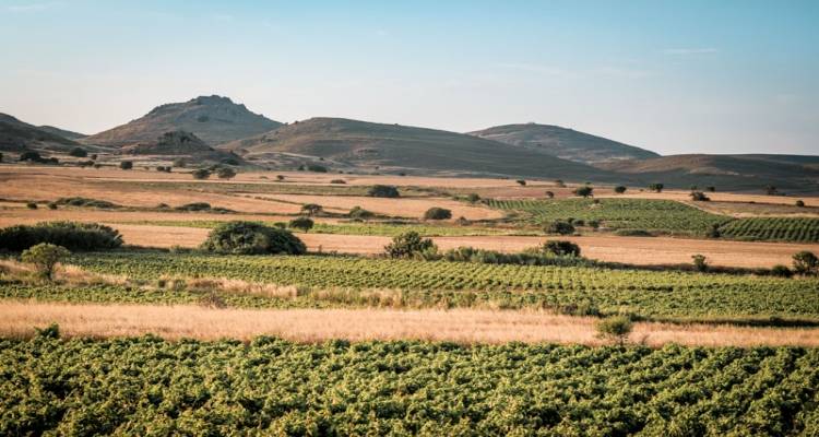 &Delta;&iota;&epsilon;&nu;έ&rho;&gamma;&epsilon;&iota;&alpha; &delta;&eta;&mu;&omicron;&pi;&rho;&alpha;&sigma;ί&alpha;&sigmaf; &gamma;&iota;&alpha; &tau;&eta;&nu; &epsilon;&kappa;&mu;ί&sigma;&theta;&omega;&sigma;&eta;  &alpha;&gamma;&rho;ώ&nu; &tau;&omicron;&upsilon; &Delta;ή&mu;&omicron;&upsilon; &Lambda;ή&mu;&nu;&omicron;&upsilon;