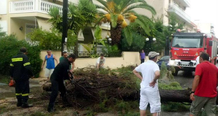 &Kappa;&alpha;&kappa;&omicron;&kappa;&alpha;&iota;&rho;ί&alpha; &laquo;&Xi;&epsilon;&nu;&omicron;&phi;ώ&nu;&raquo; &kappa;&alpha;&iota; &sigma;&tau;&omicron; &beta;ά&theta;&omicron;&sigmaf;... &tau;&rho;&omicron;&pi;&iota;&kappa;ή &kappa;&alpha;&tau;&alpha;&iota;&gamma;ί&delta;&alpha;