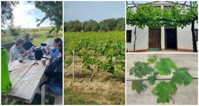 &Epsilon;&kappa;&pi;&alpha;&iota;&delta;&epsilon;&upsilon;&tau;&iota;&kappa;ή &epsilon;&pi;ί&sigma;&kappa;&epsilon;&psi;&eta; &tau;&omega;&nu; &sigma;&pi;&omicron;&upsilon;&delta;&alpha;&sigma;&tau;ώ&nu; &omicron;&iota;&nu;&omicron;&lambda;&omicron;&gamma;ί&alpha;&sigmaf; &tau;&eta;&sigmaf; &Sigma;&Alpha;&Epsilon;&Kappa; &Lambda;ή&mu;&nu;&omicron;&upsilon; &sigma;&tau;&omicron;&upsilon;&sigmaf; &alpha;&mu;&pi;&epsilon;&lambda;ώ&nu;&epsilon;&sigmaf; &tau;&omicron;&upsilon; EVANTE ESTATE