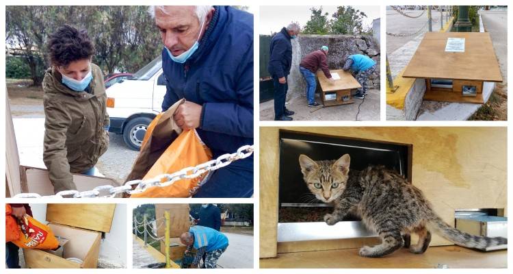 Λήμνος: Ξεκίνησε η τοποθέτηση δοχείων σίτισης και πότισης για αδέσποτες γάτες