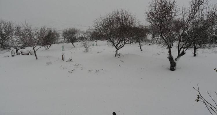 &Nu;έ&omicron;&sigmaf; &chi;&iota;&omicron;&nu;&iota;ά&sigmaf; έ&rho;&chi;&epsilon;&tau;&alpha;&iota; &alpha;&pi;ό &Delta;&epsilon;&upsilon;&tau;έ&rho;&alpha; | &Eta; &pi;&rho;ό&gamma;&nu;&omega;&sigma;&eta; &tau;&omicron;&upsilon; &kappa;&alpha;&iota;&rho;&omicron;ύ &gamma;&iota;&alpha; &tau;&iota;&sigmaf; &epsilon;&pi;ό&mu;&epsilon;&nu;&epsilon;&sigmaf; &eta;&mu;έ&rho;&epsilon;&sigmaf;