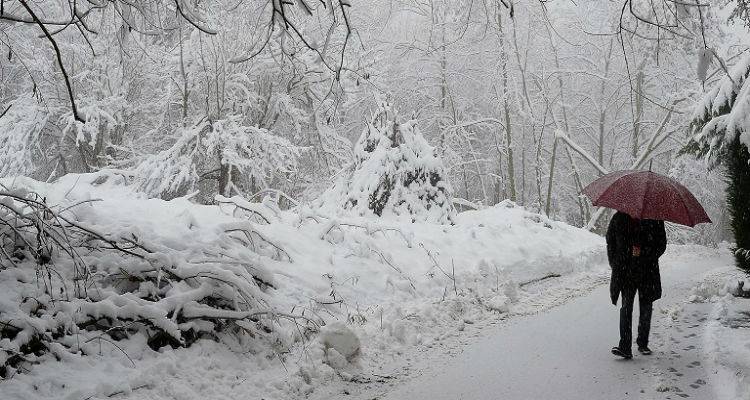&Kappa;&alpha;&kappa;&omicron;&kappa;&alpha;&iota;&rho;ί&alpha; &kappa;&alpha;&iota; &sigma;ή&mu;&epsilon;&rho;&alpha; &sigma;&epsilon; ό&lambda;&eta; &tau;&eta; &chi;ώ&rho;&alpha;
