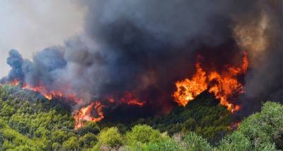&Phi;&omega;&tau;&iota;ά &sigma;&tau;&eta;&nu; &Alpha;&rho;&chi;&alpha;ί&alpha; &Omicron;&lambda;&upsilon;&mu;&pi;ί&alpha;: &Pi;&lambda;&eta;&rho;&omicron;&phi;&omicron;&rho;ί&epsilon;&sigmaf; &gamma;&iota;&alpha; &epsilon;&gamma;&kappa;&lambda;&omega;&beta;&iota;&sigma;&mu;έ&nu;&omicron;&upsilon;&sigmaf; - &Mu;ή&nu;&upsilon;&mu;&alpha; &epsilon;&kappa;&kappa;έ&nu;&omega;&sigma;&eta;&sigmaf; &alpha;&pi;ό &tau;&omicron; 112