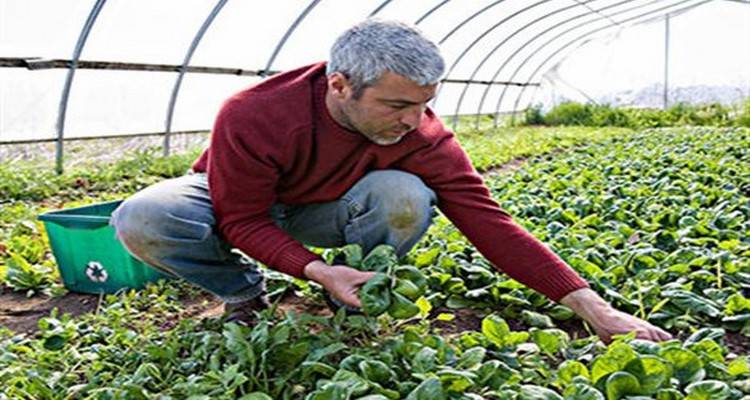 Προς πληρωμή 832 αγρότες για βιολογική γεωργία του 2013 στο βόρειο Αιγαίο