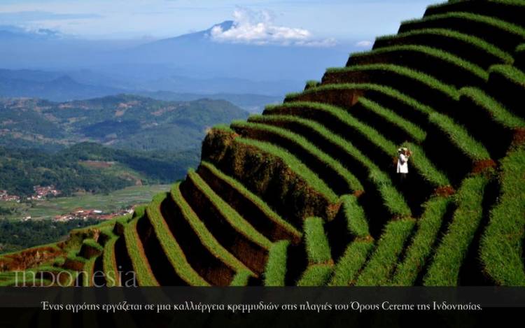 Indonesia