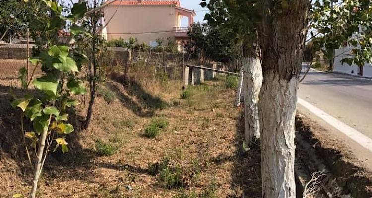 Βολές κατά Περιφέρειας και Επαρχείου από την κοινότητα Καλλιθέας για τον καθαρισμό ρεμάτων.