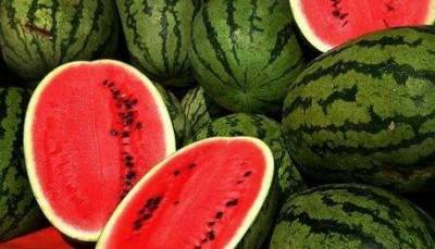 &Delta;&iota;&alpha;&mu;&alpha;&rho;&tau;ύ&rho;&omicron;&nu;&tau;&alpha;&iota; &omicron;&iota; &Beta;&omicron;ύ&lambda;&gamma;&alpha;&rho;&omicron;&iota; &gamma;&iota;&alpha; &tau;&alpha; &kappa;&alpha;&rho;&pi;&omicron;ύ&zeta;&iota;&alpha; &alpha;&pi;ό &tau;&eta;&nu; &Epsilon;&lambda;&lambda;ά&delta;&alpha;