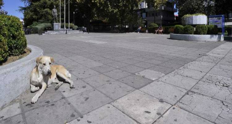 &Sigma;ά&lambda;&omicron;&sigmaf; &mu;&epsilon; &tau;&eta;&nu; &tau;&rho;&omicron;&pi;&omicron;&lambda;&omicron;&gamma;ί&alpha; &gamma;&iota;&alpha; &laquo;&sigma;&tau;&rho;&alpha;&tau;ό&pi;&epsilon;&delta;&alpha; &sigma;&upsilon;&gamma;&kappa;έ&nu;&tau;&rho;&omega;&sigma;&eta;&sigmaf;&raquo; &gamma;&iota;&alpha; &alpha;&delta;έ&sigma;&pi;&omicron;&tau;&alpha;