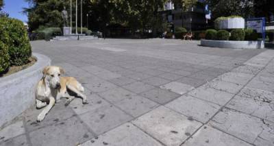 &Sigma;ά&lambda;&omicron;&sigmaf; &mu;&epsilon; &tau;&eta;&nu; &tau;&rho;&omicron;&pi;&omicron;&lambda;&omicron;&gamma;ί&alpha; &gamma;&iota;&alpha; &laquo;&sigma;&tau;&rho;&alpha;&tau;ό&pi;&epsilon;&delta;&alpha; &sigma;&upsilon;&gamma;&kappa;έ&nu;&tau;&rho;&omega;&sigma;&eta;&sigmaf;&raquo; &gamma;&iota;&alpha; &alpha;&delta;έ&sigma;&pi;&omicron;&tau;&alpha;