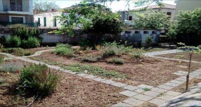 &laquo;&Xi;&eta;&lambda;ώ&nu;&omicron;&upsilon;&nu;&raquo; &tau;&omicron; &Beta;&omicron;&tau;&alpha;&nu;&iota;&kappa;ό &Kappa;ή&pi;&omicron; &tau;&eta;&sigmaf; &Lambda;ή&mu;&nu;&omicron;&upsilon; &lambda;ί&gamma;&epsilon;&sigmaf; &mu;έ&rho;&epsilon;&sigmaf; &mu;&epsilon;&tau;ά &tau;&alpha; &epsilon;&gamma;&kappa;&alpha;ί&nu;&iota;&alpha; &tau;&omicron;&upsilon;