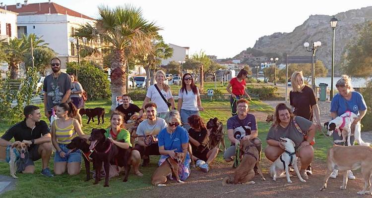 &Eta; Ά&nu;&nu;&alpha; &tau;&omicron;&sigma;&omicron;ύ&nu;&omicron;&gamma;&lambda;&omicron;&upsilon;, &mu;&iota;&lambda;ά&epsilon;&iota; &gamma;&iota;&alpha; &tau;&eta;&nu; &kappa;&alpha;&tau;ά&sigma;&tau;&alpha;&sigma;&eta; &mu;&epsilon; &tau;&alpha; &alpha;&delta;έ&sigma;&pi;&omicron;&tau;&alpha; &sigma;&tau;&eta; &Lambda;ή&mu;&nu;&omicron; &kappa;&alpha;&iota; &gamma;&iota;&alpha; &tau;&eta;&nu; &pi;&rho;ό&tau;&alpha;&sigma;ή &tau;&eta;&sigmaf; &nu;&alpha; &epsilon;&pi;&alpha;&nu;&alpha;&tau;&omicron;&pi;&omicron;&theta;&epsilon;&tau;&eta;&theta;&omicron;ύ&nu; &sigma;&tau;&eta;&nu; &Kappa;&omicron;&iota;&nu;ό&tau;&eta;&tau;&alpha; | &Sigma;&Upsilon;&Nu;&Epsilon;&Nu;&Tau;&Epsilon;&Upsilon;&Xi;&Eta;