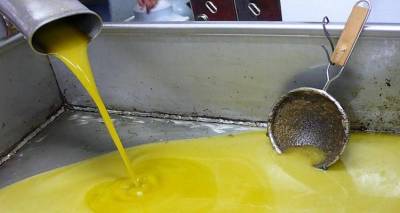 &laquo;&Chi;&rho;&upsilon;&sigma;ό&sigmaf;&raquo; &tau;&omicron; &epsilon;&lambda;&lambda;&eta;&nu;&iota;&kappa;ό &epsilon;&lambda;&alpha;&iota;ό&lambda;&alpha;&delta;&omicron; &sigma;&tau;&iota;&sigmaf; &delta;&iota;&epsilon;&theta;&nu;&epsilon;ί&sigmaf; &alpha;&gamma;&omicron;&rho;έ&sigmaf; &gamma;&iota;&alpha; &phi;έ&tau;&omicron;&sigmaf;