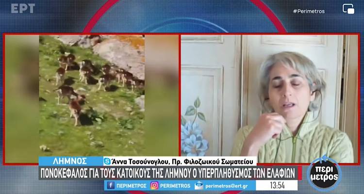 &Eta; &Alpha;. &Tau;&omicron;&sigma;&omicron;ύ&nu;&omicron;&gamma;&lambda;&omicron;&upsilon; &sigma;&tau;&eta;&nu; &laquo;&Pi;&epsilon;&rho;ί&mu;&epsilon;&tau;&rho;&omicron;&raquo; &gamma;&iota;&alpha; &tau;&alpha; &pi;&lambda;&alpha;&tau;ώ&nu;&iota;&alpha; &tau;&eta;&sigmaf; &Lambda;ή&mu;&nu;&omicron;&upsilon;