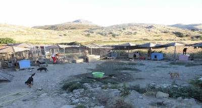 &Phi;&iota;&lambda;&omicron;&zeta;&omega;&iota;&kappa;ό &Sigma;&omega;&mu;&alpha;&tau;&epsilon;ί&omicron; &Lambda;ή&mu;&nu;&omicron;&upsilon;: &laquo;&Omicron; &Delta;ή&mu;&omicron;&sigmaf; &nu;&alpha; &kappa;&lambda;&epsilon;ί&sigma;&epsilon;&iota; &tau;&omicron; &kappa;&upsilon;&nu;&omicron;&kappa;&omicron;&mu;&epsilon;ί&omicron; &kappa;&alpha;&iota; &nu;&alpha; &mu;&eta;&nu; &delta;&eta;&mu;&iota;&omicron;&upsilon;&rho;&gamma;ή&sigma;&epsilon;&iota; &nu;έ&omicron;&raquo;