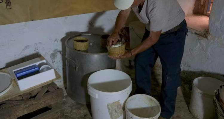 Η τυροκόμηση στη μάντρα της Λήμνου είναι τέχνη και μυσταγωγία (video)