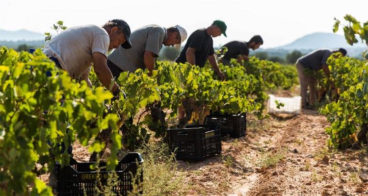 &Lambda;ή&mu;&nu;&omicron;&sigmaf;: &Xi;&epsilon;&kappa;&iota;&nu;ά&epsilon;&iota; &omicron; &tau;&rho;&upsilon;&gamma;&eta;&tau;ό&sigmaf; | &Eta; &laquo;Έ&nu;&omega;&sigma;&eta;&raquo; &epsilon;&nu;&eta;&mu;&epsilon;&rho;ώ&nu;&epsilon;&iota; &sigma;&chi;&epsilon;&tau;&iota;&kappa;ά