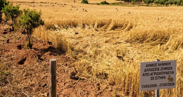 &Lambda;ή&mu;&nu;&omicron;&sigmaf;: &Xi;&epsilon;&kappa;&iota;&nu;&omicron;ύ&nu; &omicron;&iota; &delta;&eta;&lambda;ώ&sigma;&epsilon;&iota;&sigmaf; &gamma;&iota;&alpha; &tau;&iota;&sigmaf; &zeta;&eta;&mu;&iota;έ&sigmaf; &alpha;&pi;ό &alpha;&gamma;&rho;&iota;&omicron;&kappa;&omicron;ύ&nu;&epsilon;&lambda;&alpha; &sigma;&tau;&alpha; &sigma;&iota;&tau;&eta;&rho;ά