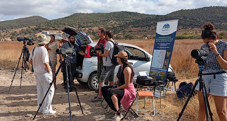Φθινοπωρινή Γιορτή Πουλιών στο Β. Αιγαίο: Επιτυχής ο απολογισμός, απούσα η Λήμνος (photos)