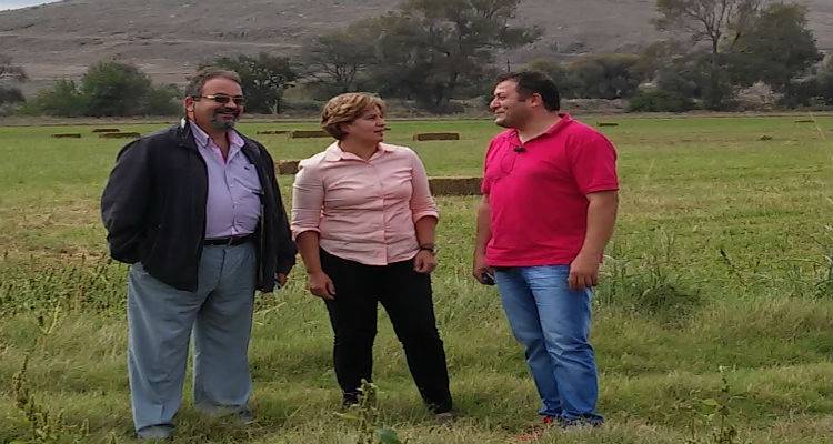 &Sigma;&tau;&omicron; &Kappa;&tau;ή&mu;&alpha; &Mu;&eta;&tau;&rho;ό&pi;&omicron;&lambda;&eta; &sigma;ή&mu;&epsilon;&rho;&alpha; &Kappa;&alpha;&lambda;&omicron;&gamma;ή&rho;&omicron;&upsilon; - &Alpha;&delta;&alpha;&mu;ί&delta;&eta;&sigmaf;