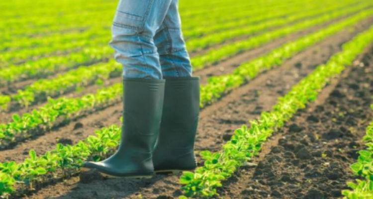 2.622.708,89€ σε 823 βιοκαλλιεργητές σε Λήμνο και Λέσβο