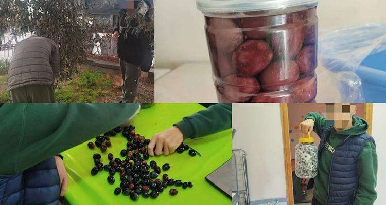 &Epsilon;.&Epsilon;.&Epsilon;.&Epsilon;&Kappa;. &Rho;&epsilon;&pi;&alpha;&nu;&iota;&delta;ί&omicron;&upsilon;: &Mu;&alpha;&theta;&eta;&tau;έ&sigmaf; &gamma;&nu;ώ&rho;&iota;&sigma;&alpha;&nu; &sigma;&tau;&eta;&nu; &pi;&rho;ά&xi;&eta; &tau;&eta;&nu; &pi;&alpha;&rho;&alpha;&delta;&omicron;&sigma;&iota;&alpha;&kappa;ή &delta;&iota;&alpha;&delta;&iota;&kappa;&alpha;&sigma;ί&alpha; &sigma;&upsilon;&lambda;&lambda;&omicron;&gamma;ή&sigmaf; &kappa;&alpha;&iota; &epsilon;&pi;&epsilon;&xi;&epsilon;&rho;&gamma;&alpha;&sigma;ί&alpha;&sigmaf; &epsilon;&lambda;&iota;ά&sigmaf;