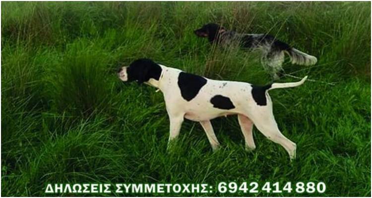 &Lambda;ή&mu;&nu;&omicron;&sigmaf;: &Alpha;&gamma;ώ&nu;&alpha;&sigmaf; &pi;&rho;&alpha;&kappa;&tau;&iota;&kappa;&omicron;ύ &kappa;&upsilon;&nu;&eta;&gamma;&iota;&omicron;ύ Cact