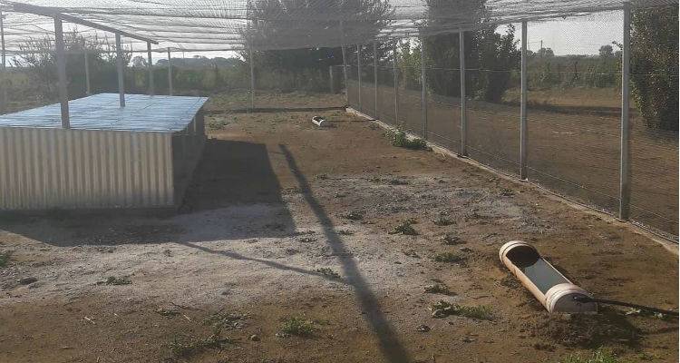 Ολοκληρώθηκε ο κλωβός προσαρμογής θηραμάτων του Κυνηγετικού Συλλόγου Λήμνου