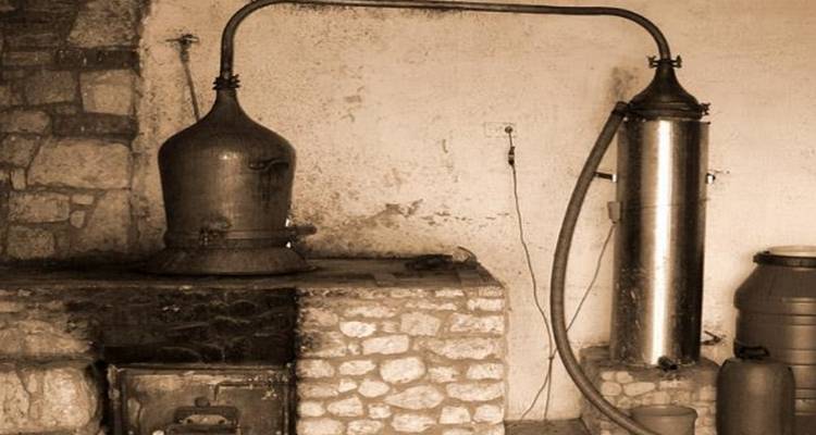 6&eta; &gamma;&iota;&omicron;&rho;&tau;ή &Rho;&alpha;&kappa;&iota;&omicron;ύ &alpha;&pi;ό &tau;&omicron;&nu; &Pi;&omicron;&lambda;&iota;&tau;&iota;&sigma;&tau;&iota;&kappa;ό &Sigma;ύ&lambda;&lambda;&omicron;&gamma;&omicron; &Mu;&omicron;ύ&delta;&rho;&omicron;&upsilon; &kappa;&alpha;&iota; &tau;&omicron;&nu; &Omicron;&Epsilon;&Pi;&Alpha; &Delta;ή&mu;&omicron;&upsilon; &Lambda;ή&mu;&nu;&omicron;&upsilon;
