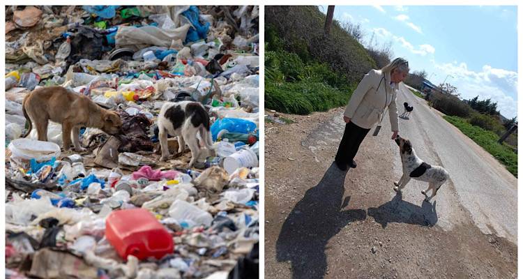 Η Πρόεδρος της ΠΦΠΟ Άννα Τοσούνογλου σε επιτόπια επίσκεψη στη χωματερή της Ξάνθης όπου ζουν 200 εξαθλιωμένα αδέσποτα σκυλιά
