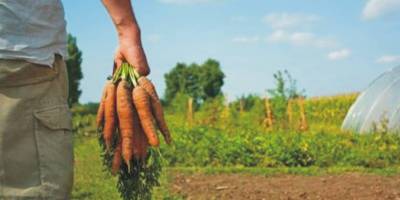 &Epsilon;&rho;ώ&tau;&eta;&sigma;&eta; &beta;&omicron;&upsilon;&lambda;&epsilon;&upsilon;&tau;ώ&nu; &tau;&omicron;&upsilon; &Sigma;&Upsilon;&Rho;&Iota;&Zeta;&Alpha; &gamma;&iota;&alpha; &tau;&omicron;&upsilon;&sigmaf; &beta;&iota;&omicron;&kappa;&alpha;&lambda;&lambda;&iota;&epsilon;&rho;&gamma;&eta;&tau;έ&sigmaf;