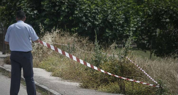 &Delta;&omicron;&lambda;&omicron;&phi;&omicron;&nu;ί&alpha; &sigma;&tau;&eta; &Lambda;έ&sigma;&beta;&omicron;: &Pi;&upsilon;&rho;&omicron;&beta;ό&lambda;&eta;&sigma;&epsilon; &tau;&eta;&nu; 24&chi;&rho;&omicron;&nu;&eta; &gamma;&iota;&alpha;&tau;ί &alpha;&rho;&nu;ή&theta;&eta;&kappa;&epsilon; &nu;&alpha; &tau;&alpha; &xi;&alpha;&nu;&alpha;&beta;&rho;&omicron;ύ&nu;;