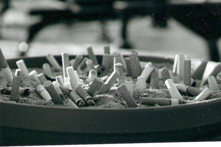 Κορόιδα και εξαιρέσεις