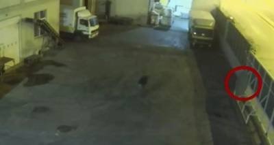 &Kappa;&epsilon;&rho;&alpha;&tau;&sigma;ί&nu;&iota;: &Eta; &alpha;&delta;&iota;&alpha;&phi;&omicron;&rho;ί&alpha; &sigma;&kappa;ό&tau;&omega;&sigma;&epsilon; &tau;&eta;&nu; &mu;&iota;&kappa;&rho;ή Ό&lambda;&gamma;&alpha; - &Pi;&epsilon;&rho;&nu;&omicron;ύ&sigma;&alpha;&nu; &delta;ί&pi;&lambda;&alpha; &tau;&eta;&sigmaf; &epsilon;&nu;ώ &psi;&upsilon;&chi;&omicron;&rho;&rho;&alpha;&gamma;&omicron;ύ&sigma;&epsilon;