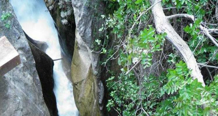 &Tau;&rho;&alpha;&gamma;&omega;&delta;ί&alpha; &sigma;&tau;&omicron; &Beta;&omicron;&upsilon;&rho;&alpha;ϊ&kappa;ό | &Beta;&rho;έ&theta;&eta;&kappa;&epsilon; &nu;&epsilon;&kappa;&rho;ό&sigmaf; &omicron; 9&chi;&rho;&omicron;&nu;&omicron;&sigmaf; &pi;&omicron;&upsilon; &chi;ά&theta;&eta;&kappa;&epsilon; &sigma;&tau;&omicron; &phi;&alpha;&rho;ά&gamma;&gamma;&iota;