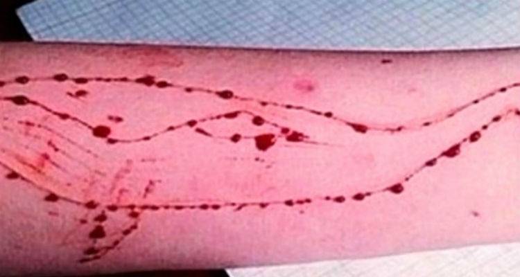 &laquo;&Mu;&pi;&lambda;&epsilon; &phi;ά&lambda;&alpha;&iota;&nu;&alpha;&raquo;: &Pi;&alpha;&gamma;&kappa;ό&sigma;&mu;&iota;&omicron; &sigma;&omicron;&kappa; &gamma;&iota;&alpha; &tau;&omicron; &laquo;&pi;&alpha;&iota;&chi;&nu;ί&delta;&iota; &alpha;&upsilon;&tau;&omicron;&kappa;&tau;&omicron;&nu;ί&alpha;&sigmaf;&raquo; &pi;&omicron;&upsilon; ή&rho;&theta;&epsilon; &kappa;&alpha;&iota; &sigma;&tau;&eta;&nu; &Epsilon;&lambda;&lambda;ά&delta;&alpha;