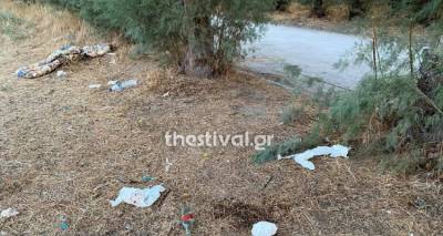 &Theta;&epsilon;&sigma;&sigma;&alpha;&lambda;&omicron;&nu;ί&kappa;&eta;: &Sigma;&tau;&alpha; &chi;έ&rho;&iota;&alpha; &tau;&eta;&sigmaf; &Epsilon;&Lambda;.&Alpha;&Sigma;. &omicron; &delta;&rho;ά&sigma;&tau;&eta;&sigmaf; &tau;&eta;&sigmaf; ά&gamma;&rho;&iota;&alpha;&sigmaf; &delta;&omicron;&lambda;&omicron;&phi;&omicron;&nu;ί&alpha;&sigmaf; &tau;&eta;&sigmaf; 55&chi;&rho;&omicron;&nu;&eta;&sigmaf;