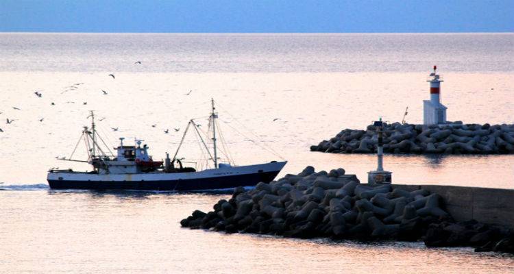 &Omicron; &Kappa;&alpha;&pi;&epsilon;&tau;ά&nu;&iota;&omicron;&sigmaf; &tau;&omicron;&upsilon; &laquo;&Pi;&Alpha;&Nu;&Alpha;&Gamma;&Iota;&Alpha;&raquo; &sigma;&tau;&eta;&nu; &kappa;&omicron;&iota;&nu;&omega;&nu;ί&alpha; &tau;&omega;&nu; &Alpha;&gamma;&gamma;έ&lambda;&omega;&nu;