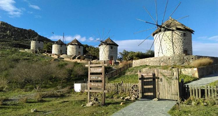 &Eta; &pi;&rho;ό&gamma;&nu;&omega;&sigma;&eta; &tau;&omicron;&upsilon; &kappa;&alpha;&iota;&rho;&omicron;ύ